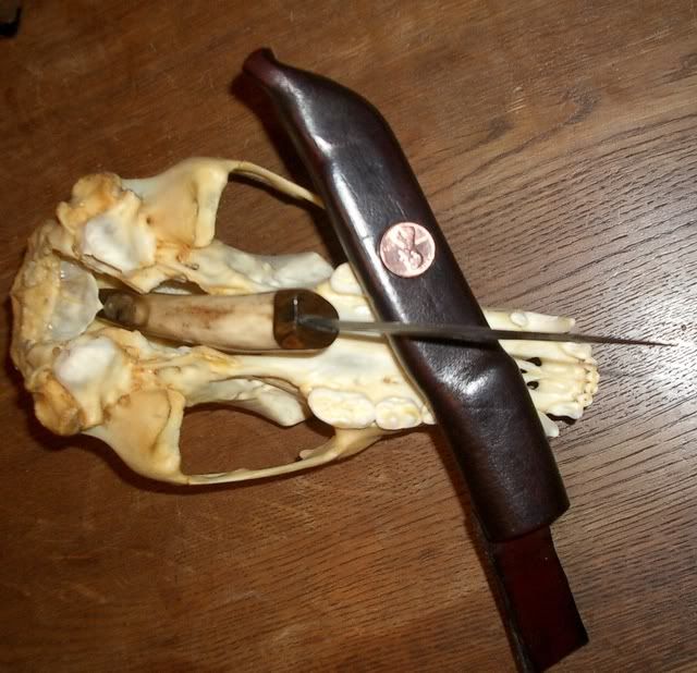 mora15.jpg