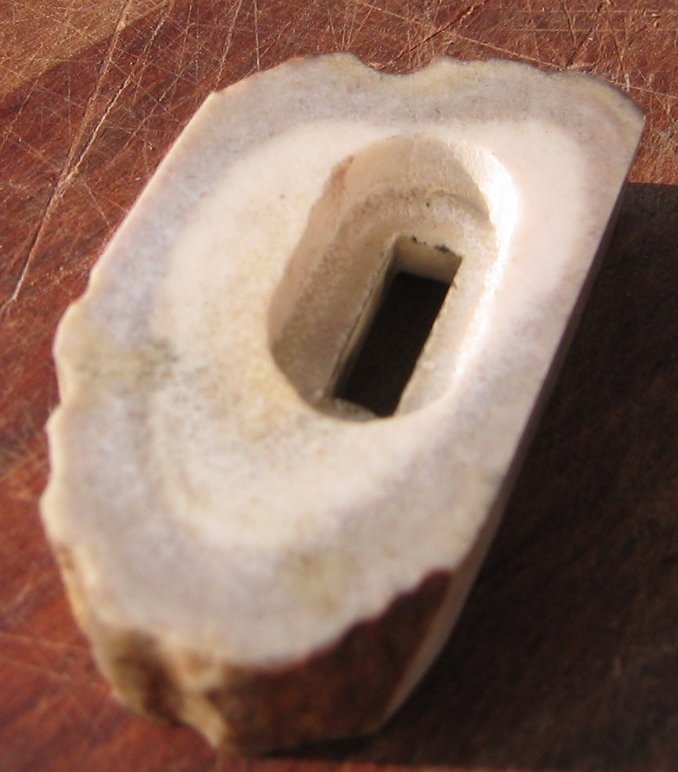 07_horn_rear.jpg