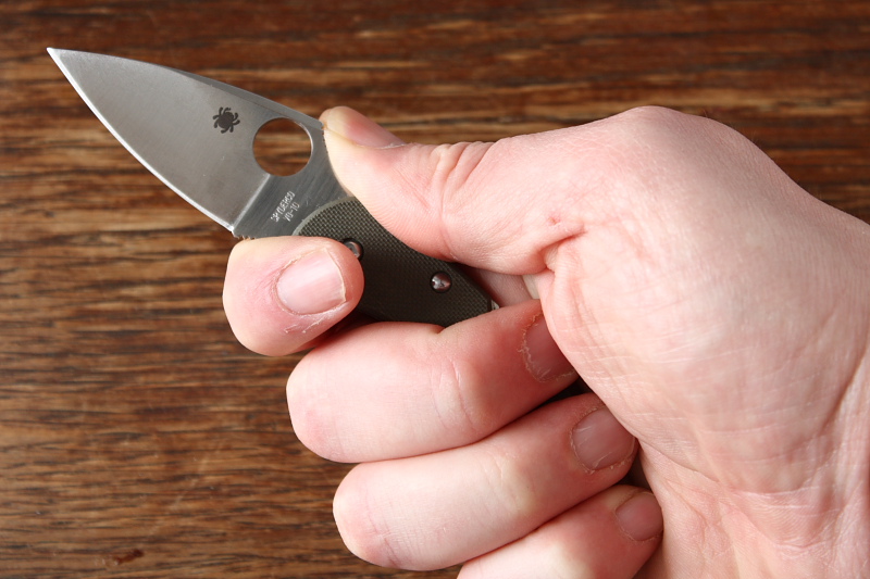 Spyderco_drangonfly_008.JPG