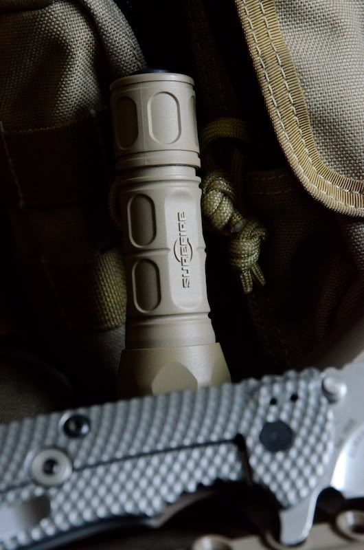 Coyote_Tan_FlatDark_Earth_003.jpg