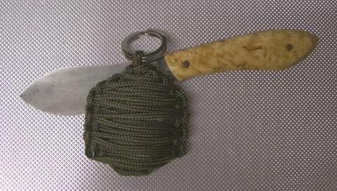 CIMG4555Small-1.jpg
