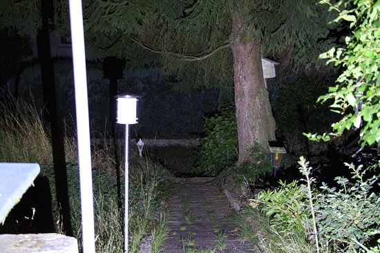 Palide_GL-K21-08_550_x_550_.jpg