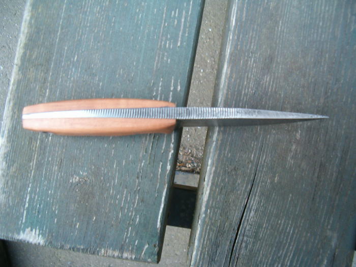 4059845.jpg