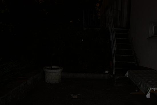 Zebralight_H501_3_3_lm-01_550_x_500_.jpg