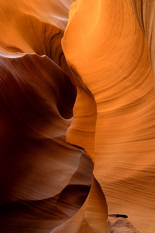 antelope1sequel_5659fert.jpg