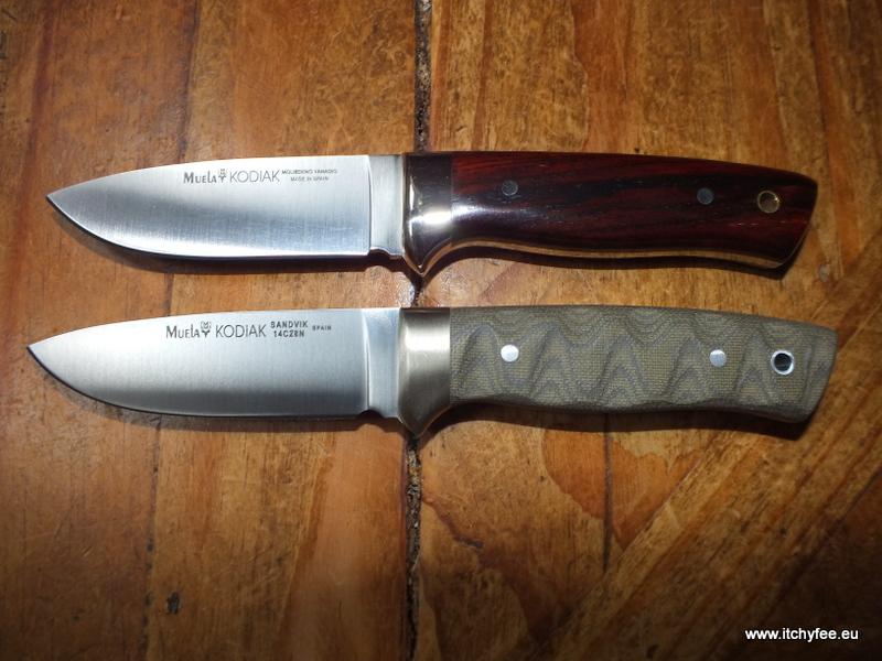 Kodiak_Mircarta14.jpg