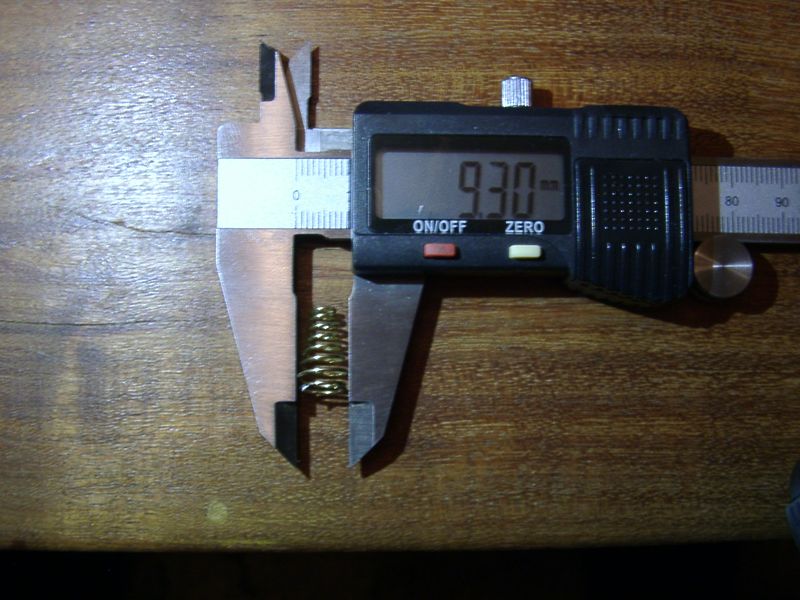 Goldfeder_03.JPG