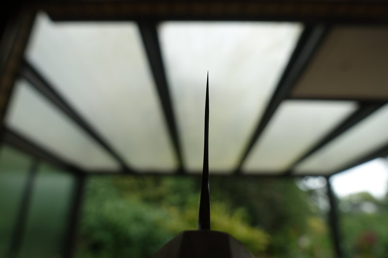 44357913qc.jpg