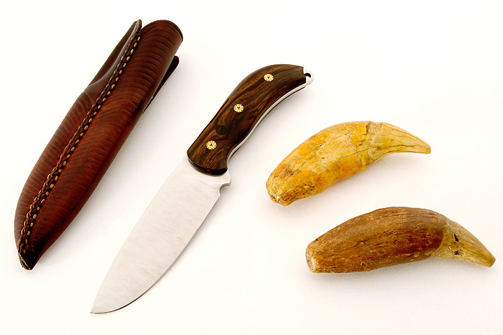 pasvikka_11.jpg