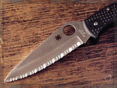 endura4.jpg