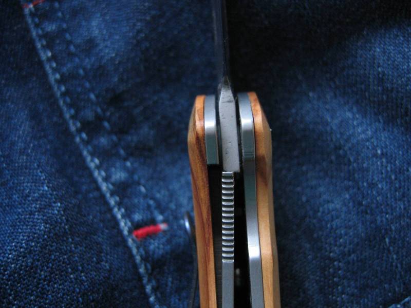 Maserin_Dolphin_003.jpg
