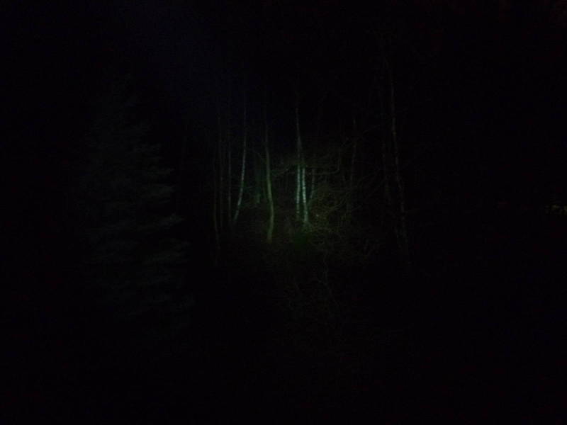 P1020416.JPG
