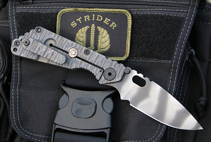 strider_sng_011.jpg