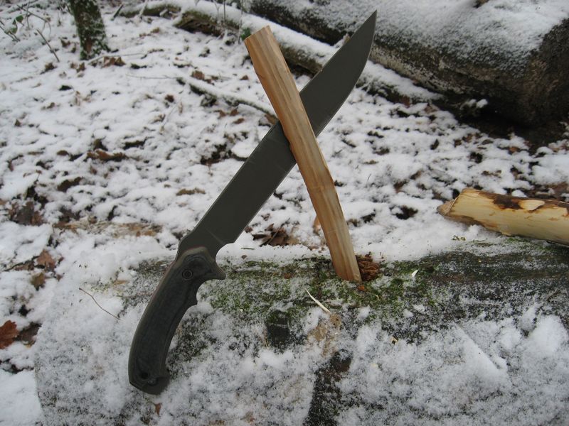 Buck_10_.JPG