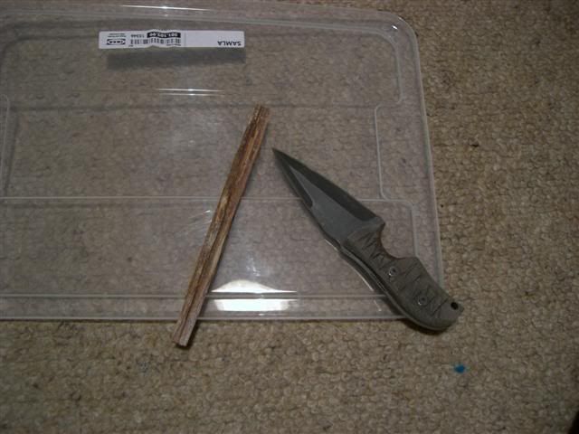 CIMG2870Small.jpg
