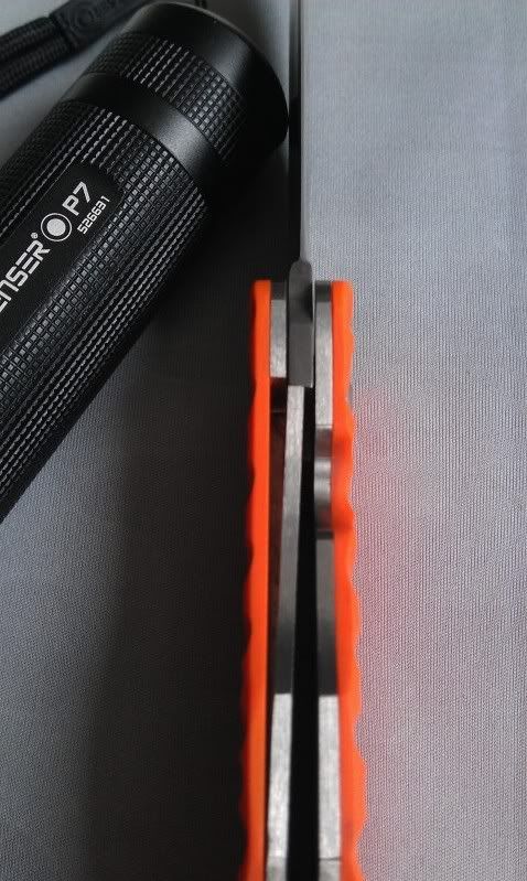 IMAG0359.jpg