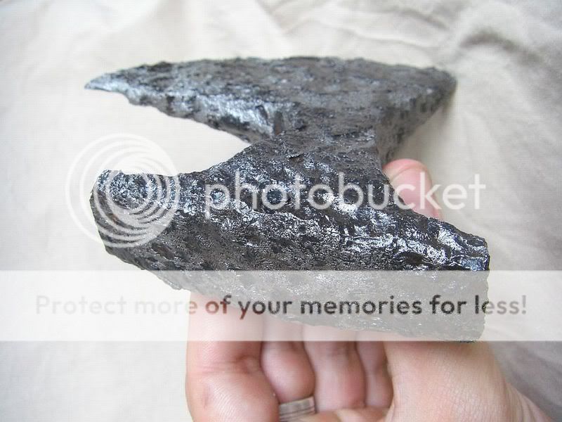 CIMG2278.jpg
