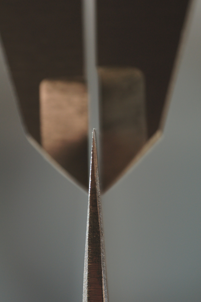 24704407by.jpg