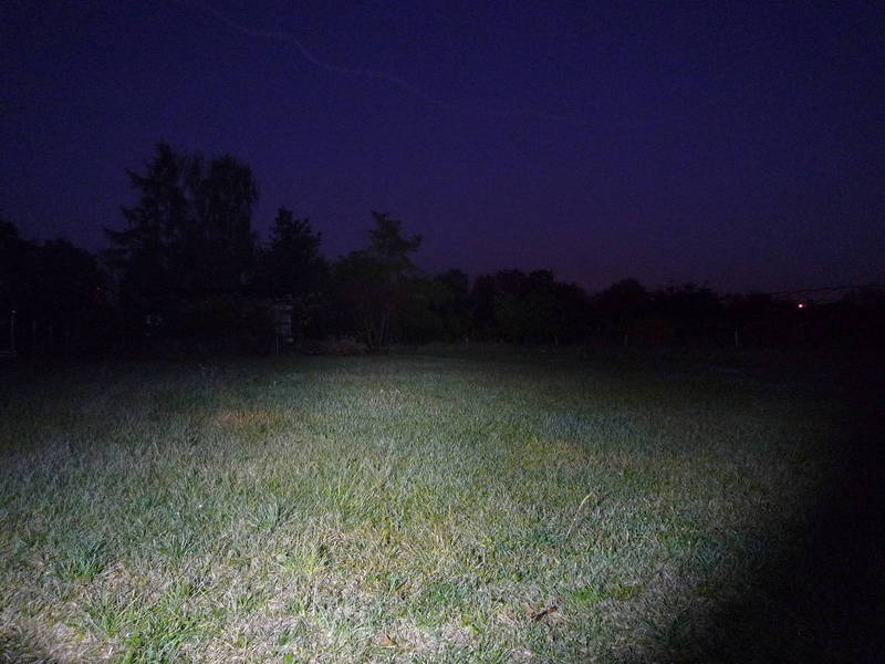 P1000821.JPG