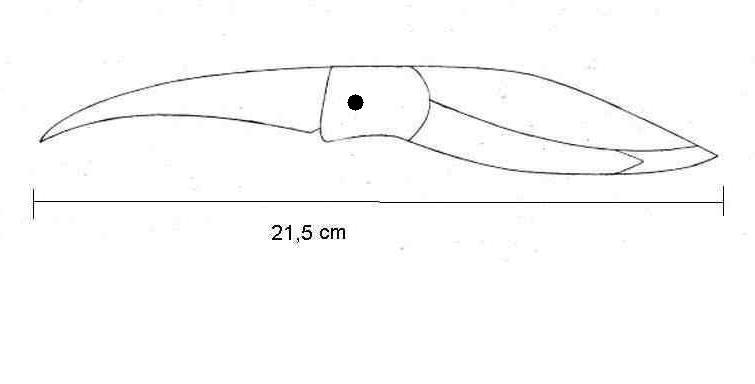 IbisMesser.jpg