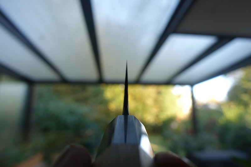 44502483fo.jpg