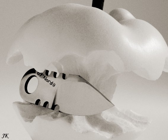 Apfel1149.jpg