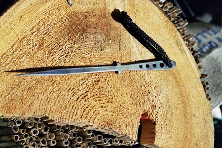 Ti%20Spike.jpg