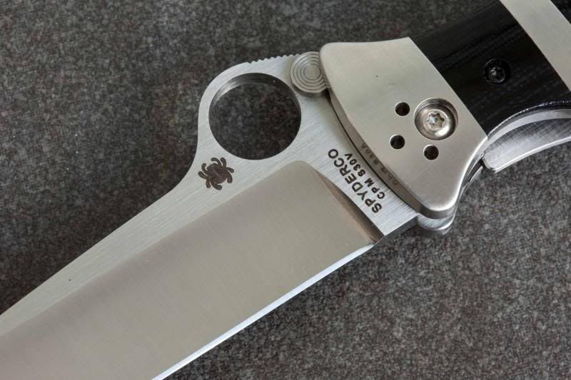 SpydercoVallotton15_zps2287b418.jpg