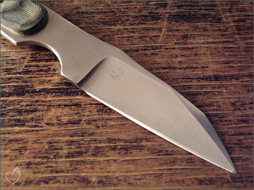 raptor_07.jpg