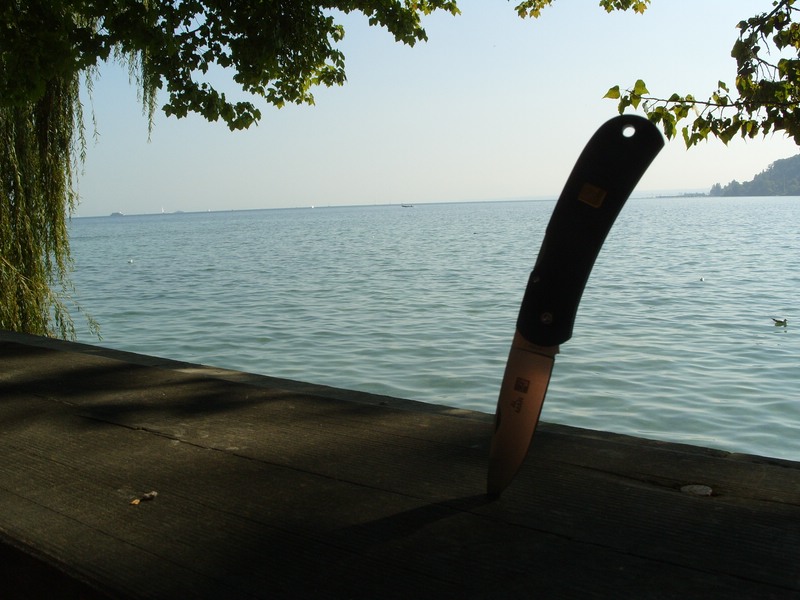 comp_Al_Mar_Bodensee.jpg
