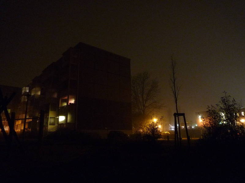 P1010048.JPG
