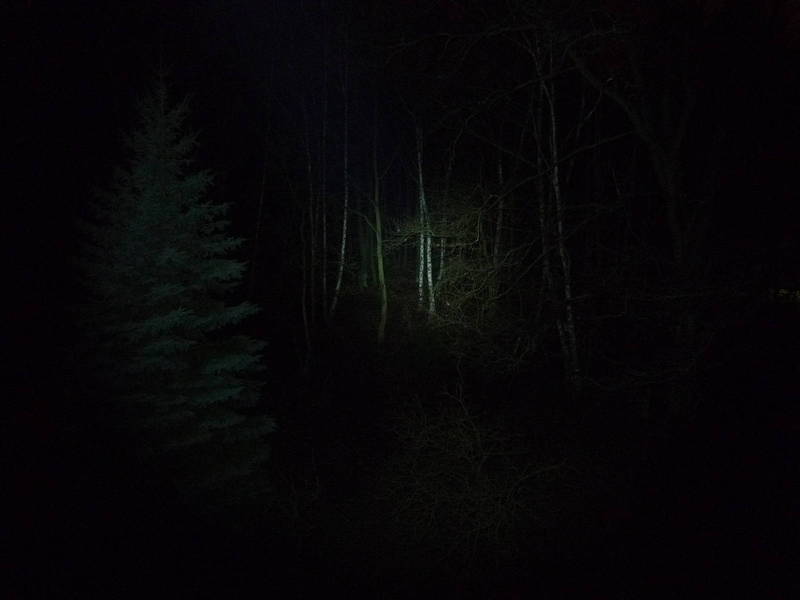 P1020415.JPG