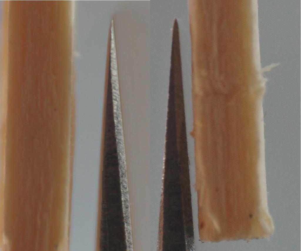 24837950lj.jpg