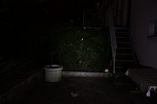 Police_1W_-02_550_x_500_.jpg