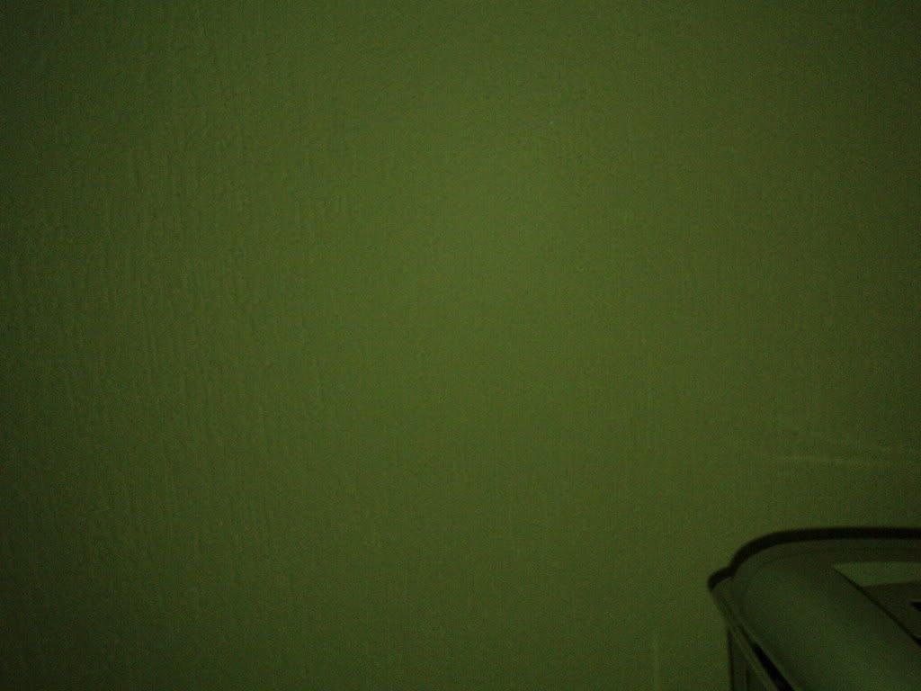 P8090077.jpg