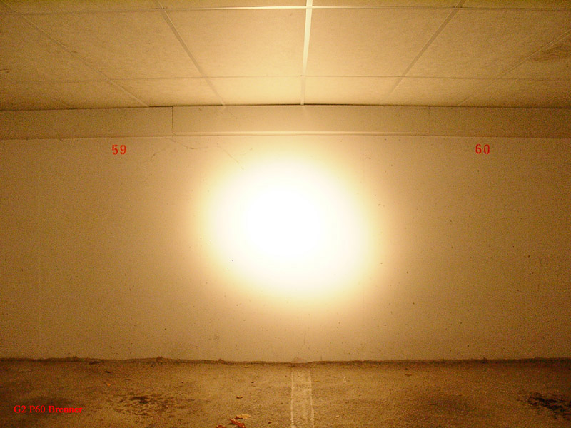 213_p2020.jpg