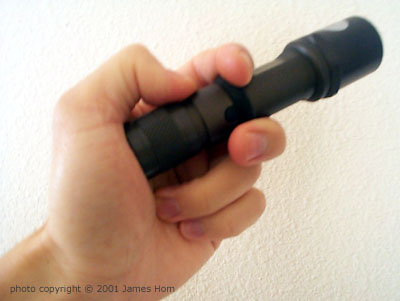 flashlight_Rogers400.jpg