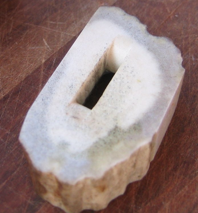 06_horn_front.jpg