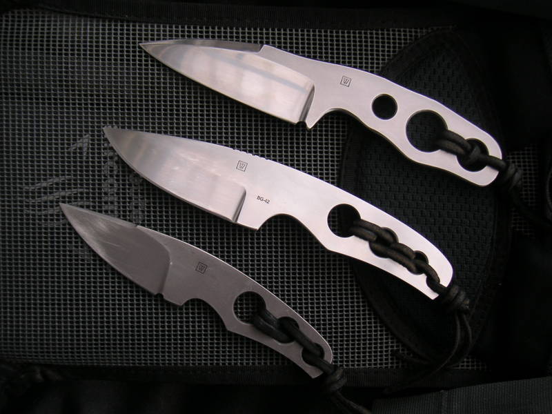 3_wilkins_thorn.JPG