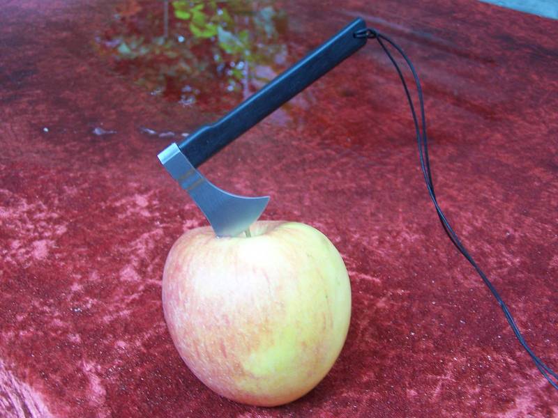 100_6285.JPG