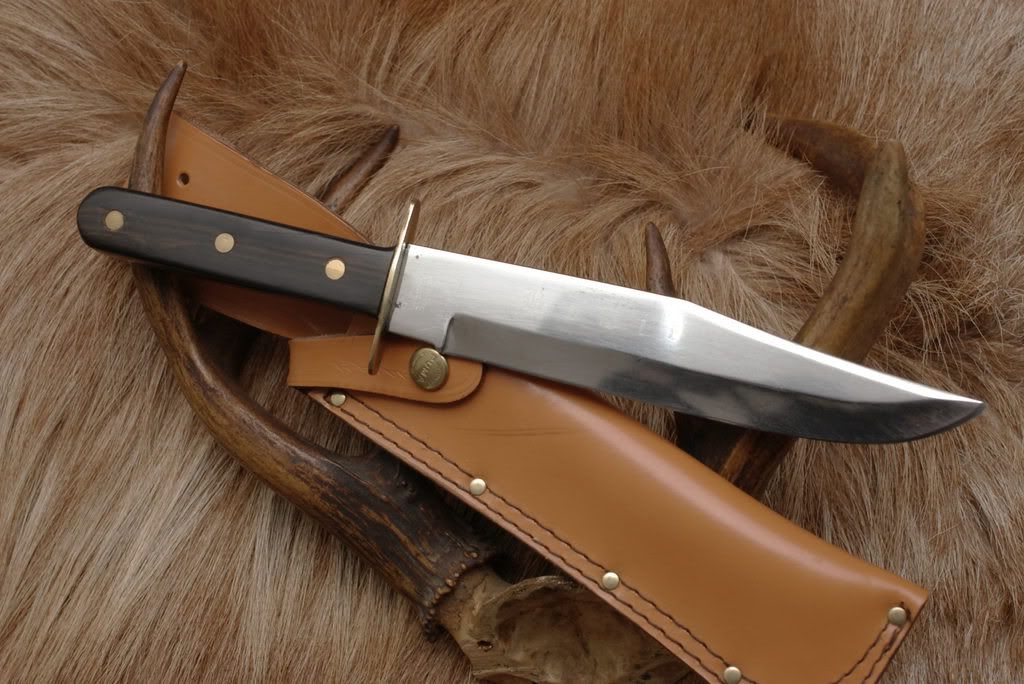 WidderBowie.jpg