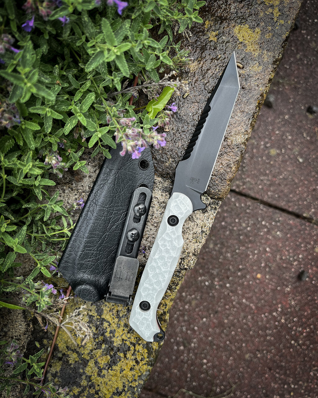 49897191xr.jpg