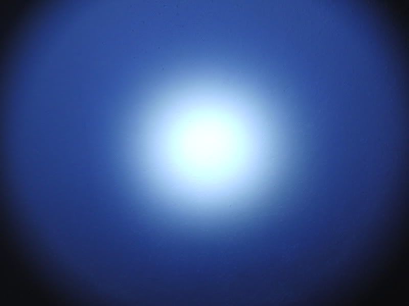 CIMG2796.jpg
