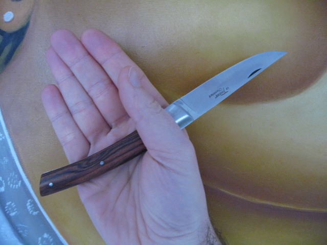 ThiersLaguioleInHand_001.jpg