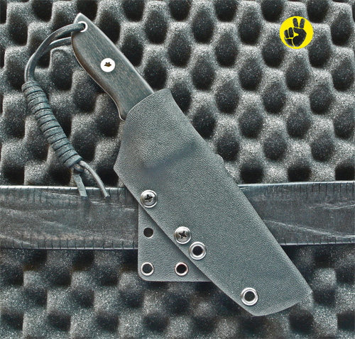 Custom-Holster1.jpg