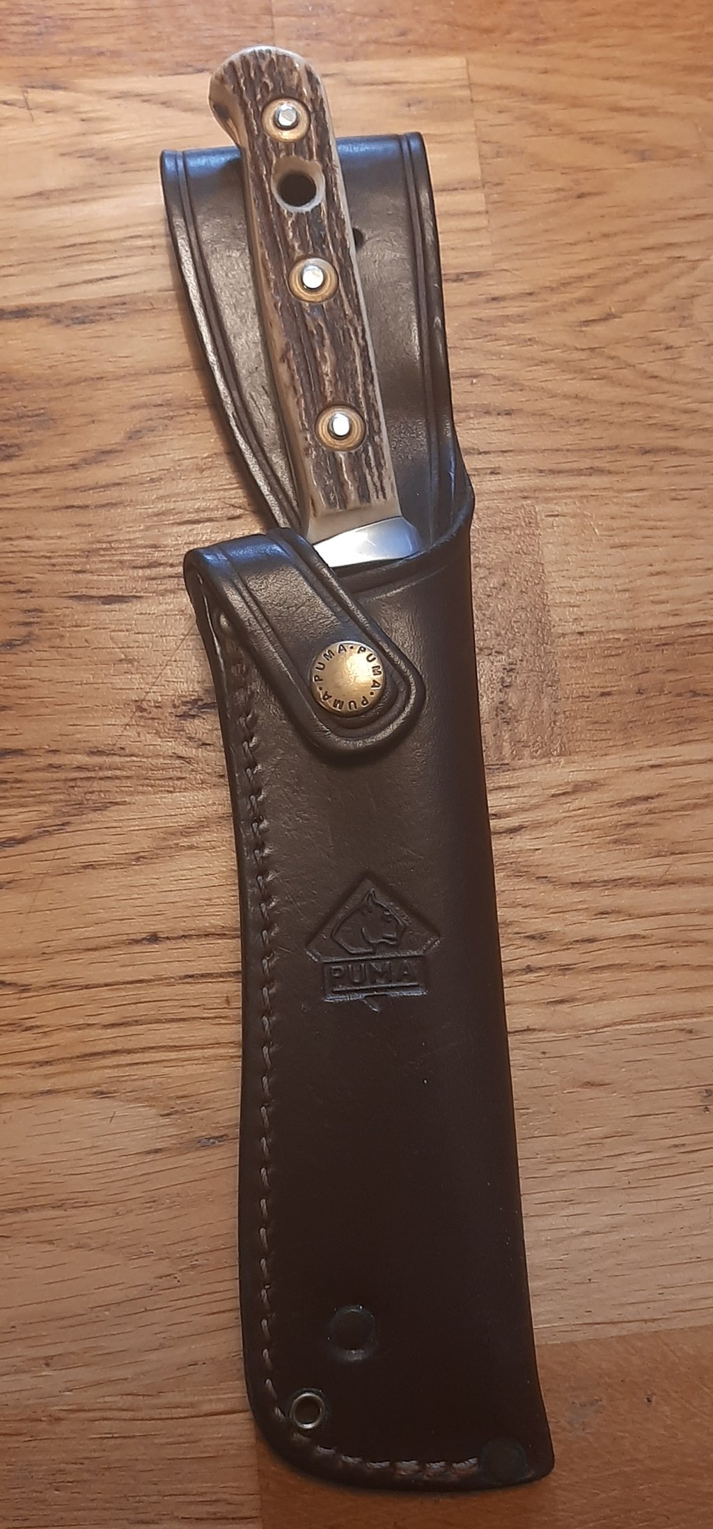 45560672kj.jpg
