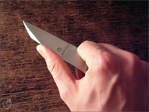 raptor_05.jpg