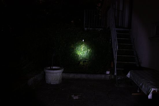 T20C2_5_lm-01_550_x_500_.jpg