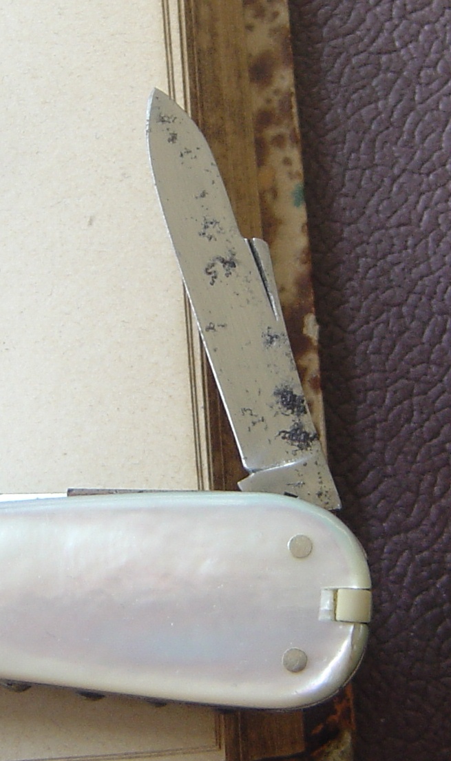 8114791voh.jpg