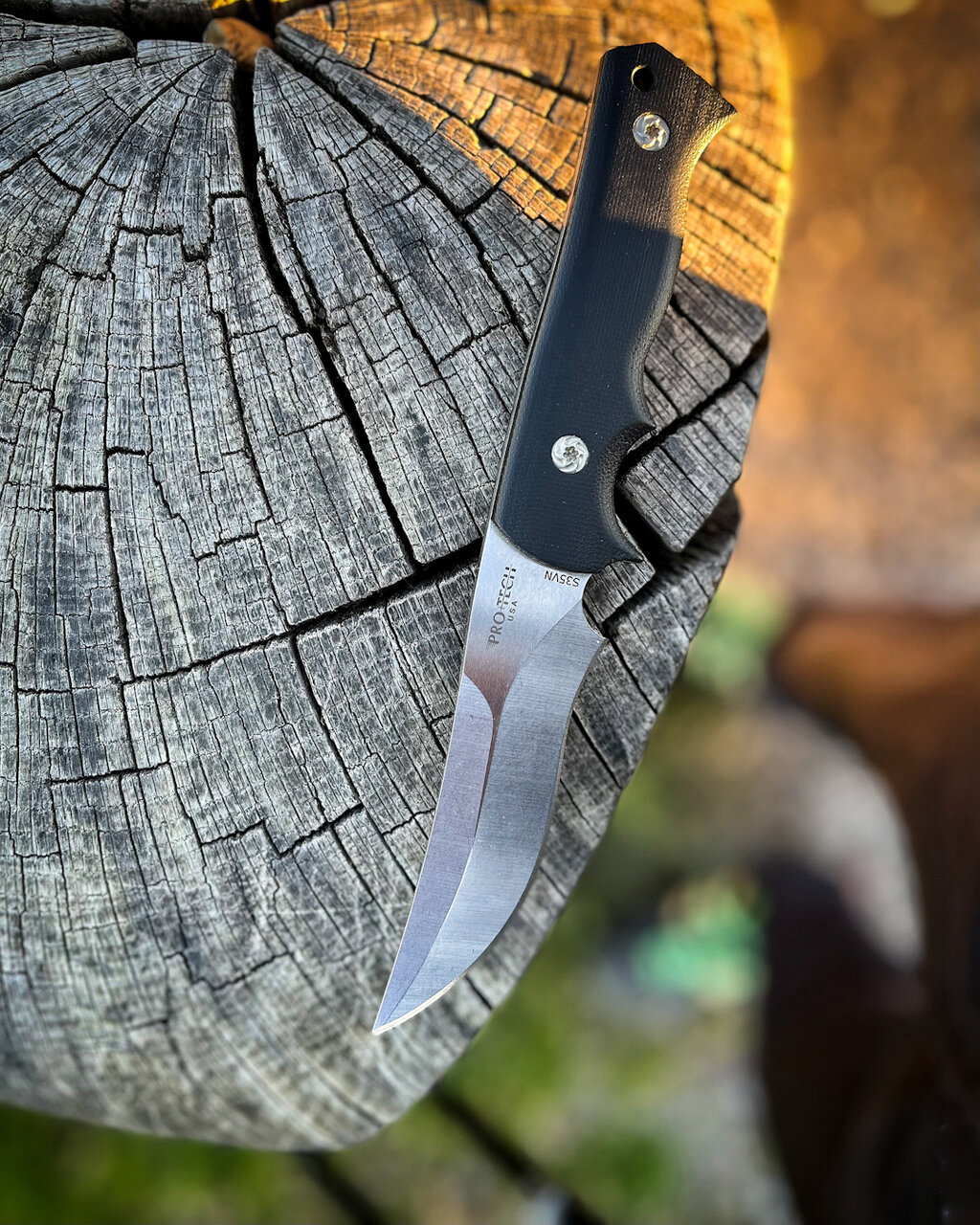 48551877ka.jpg